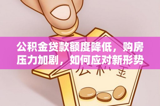湖口公积金贷款额度降低，购房压力加剧，如何应对新形势？