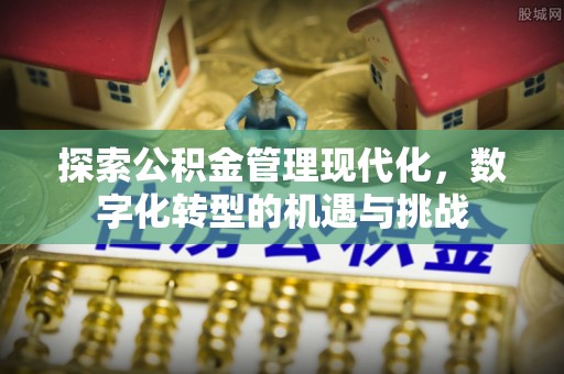 湖口探索公积金管理现代化，数字化转型的机遇与挑战