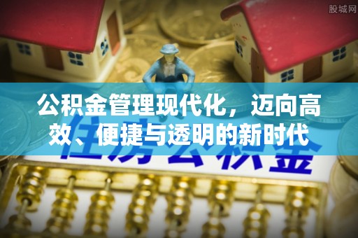 湖口公积金管理现代化，迈向高效、便捷与透明的新时代