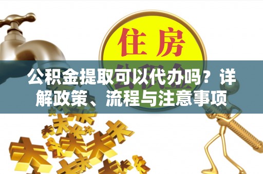 湖口公积金提取可以代办吗？详解政策、流程与注意事项