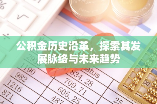 湖口公积金历史沿革，探索其发展脉络与未来趋势