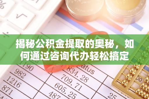 湖口揭秘公积金提取的奥秘，如何通过咨询代办轻松搞定