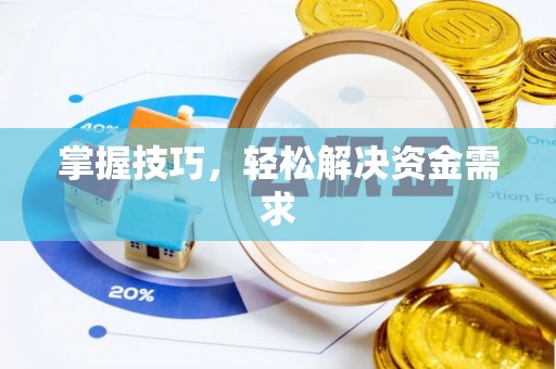 湖口掌握技巧，轻松解决资金需求