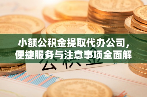 湖口小额公积金提取代办公司，便捷服务与注意事项全面解析