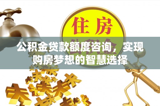 湖口公积金贷款额度咨询，实现购房梦想的智慧选择