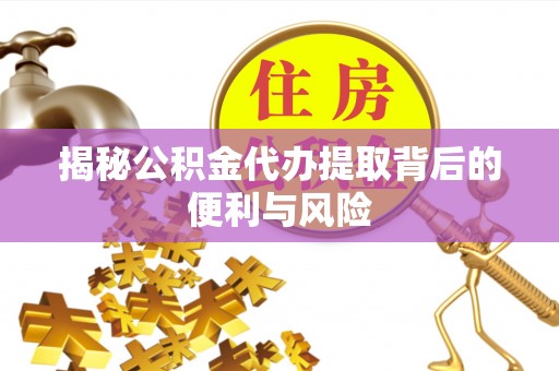 湖口揭秘公积金代办提取背后的便利与风险