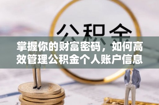 湖口掌握你的财富密码，如何高效管理公积金个人账户信息