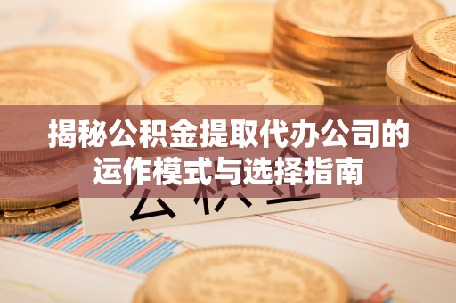 湖口揭秘公积金提取代办公司的运作模式与选择指南