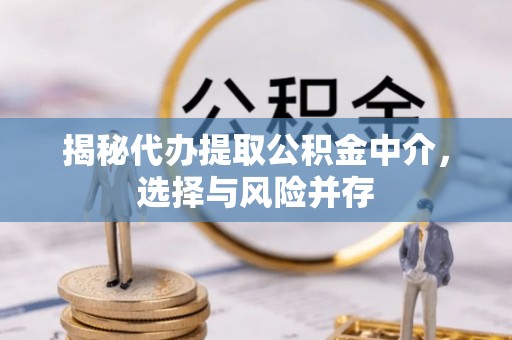 湖口揭秘代办提取公积金中介，选择与风险并存