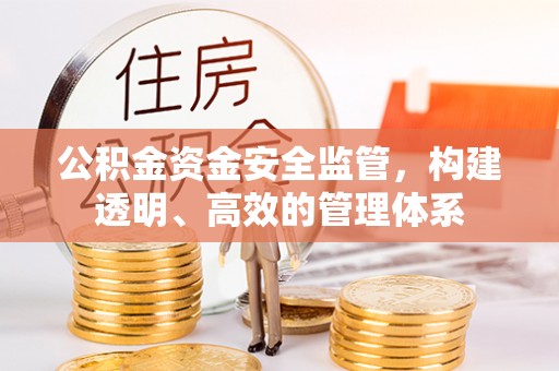 湖口公积金资金安全监管，构建透明、高效的管理体系