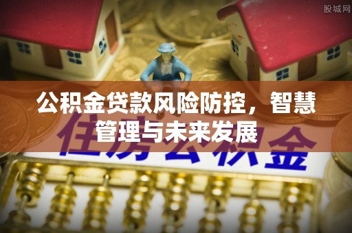 湖口公积金贷款风险防控，智慧管理与未来发展
