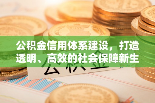 湖口公积金信用体系建设，打造透明、高效的社会保障新生态