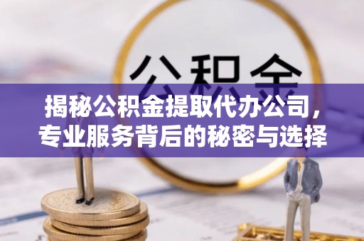 湖口揭秘公积金提取代办公司，专业服务背后的秘密与选择指南