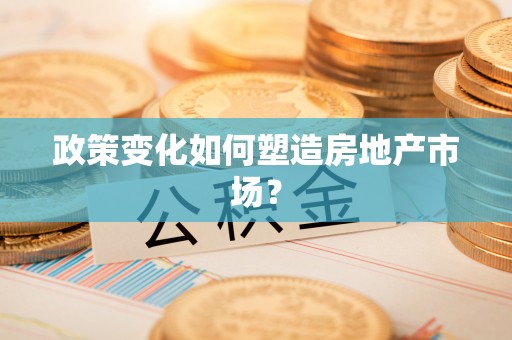 湖口政策变化如何塑造房地产市场？