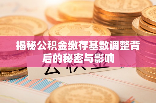 湖口揭秘公积金缴存基数调整背后的秘密与影响