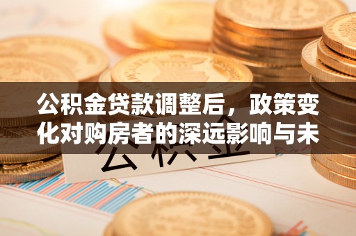 湖口公积金贷款调整后，政策变化对购房者的深远影响与未来趋势分析