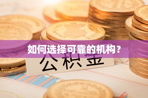 湖口如何选择可靠的机构？