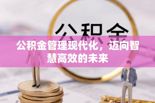 湖口公积金管理现代化，迈向智慧高效的未来