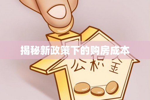 湖口揭秘新政策下的购房成本