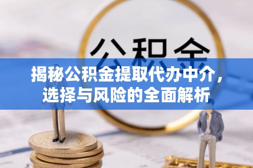 湖口揭秘公积金提取代办中介，选择与风险的全面解析