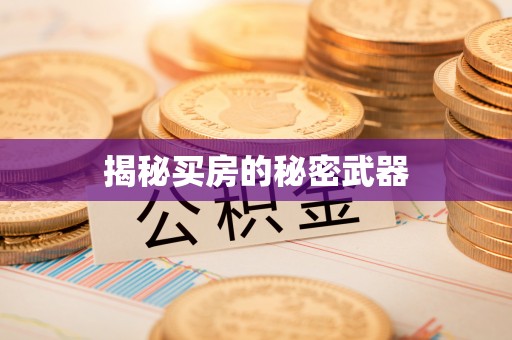 湖口揭秘买房的秘密武器