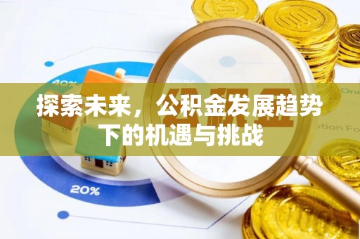 湖口探索未来，公积金发展趋势下的机遇与挑战