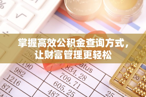 湖口掌握高效公积金查询方式，让财富管理更轻松