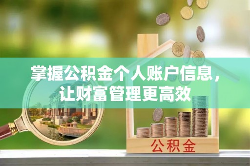 湖口掌握公积金个人账户信息，让财富管理更高效