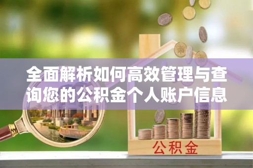 湖口全面解析如何高效管理与查询您的公积金个人账户信息