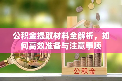湖口公积金提取材料全解析，如何高效准备与注意事项