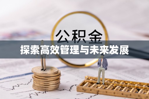 湖口探索高效管理与未来发展