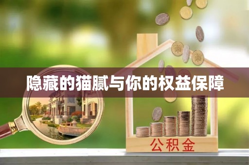 湖口隐藏的猫腻与你的权益保障