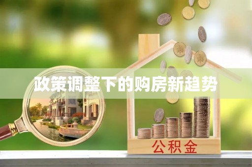 湖口政策调整下的购房新趋势