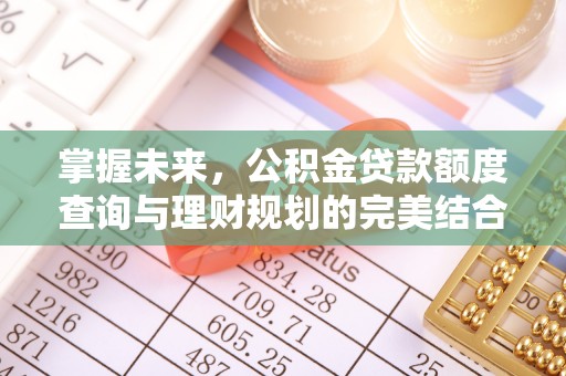 湖口掌握未来，公积金贷款额度查询与理财规划的完美结合