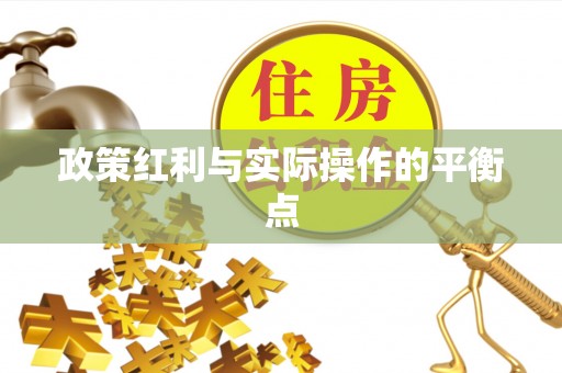 湖口政策红利与实际操作的平衡点