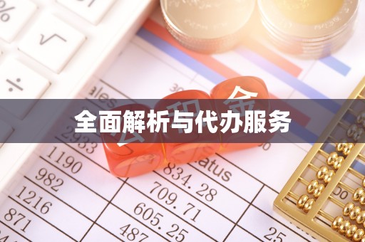 湖口全面解析与代办服务