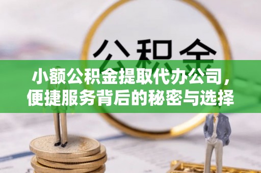湖口小额公积金提取代办公司，便捷服务背后的秘密与选择指南