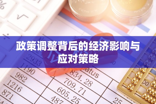 湖口政策调整背后的经济影响与应对策略