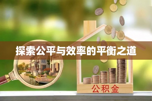 湖口探索公平与效率的平衡之道