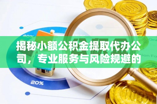 湖口揭秘小额公积金提取代办公司，专业服务与风险规避的平衡艺术