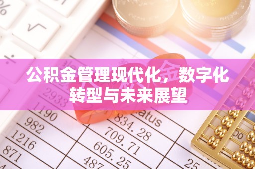 湖口公积金管理现代化，数字化转型与未来展望