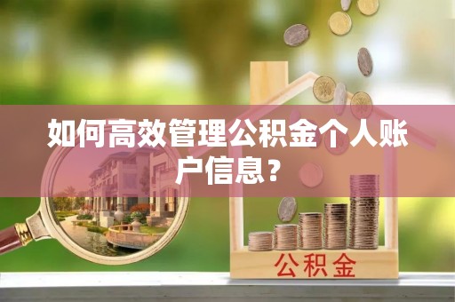 湖口如何高效管理公积金个人账户信息？