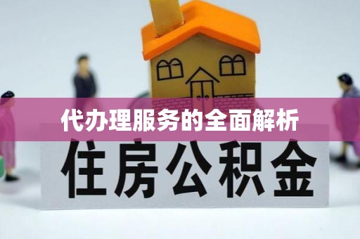 湖口代办理服务的全面解析