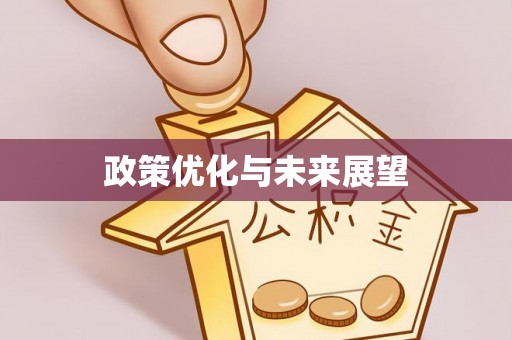 湖口政策优化与未来展望