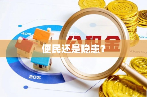湖口便民还是隐患？