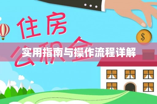 湖口实用指南与操作流程详解