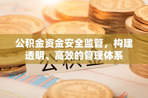 湖口公积金资金安全监管，构建透明、高效的管理体系