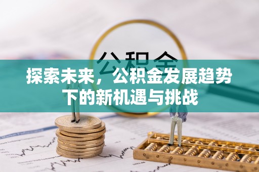 湖口探索未来，公积金发展趋势下的新机遇与挑战