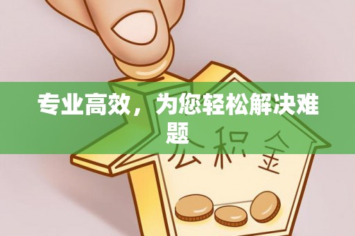 湖口专业高效，为您轻松解决难题