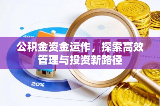 湖口公积金资金运作，探索高效管理与投资新路径